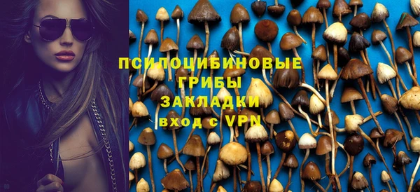 СК Ладушкин