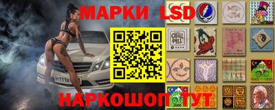 spice Камышлов