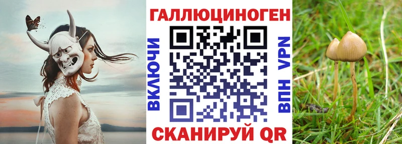 Галлюциногенные грибы GOLDEN TEACHER  Малоярославец 