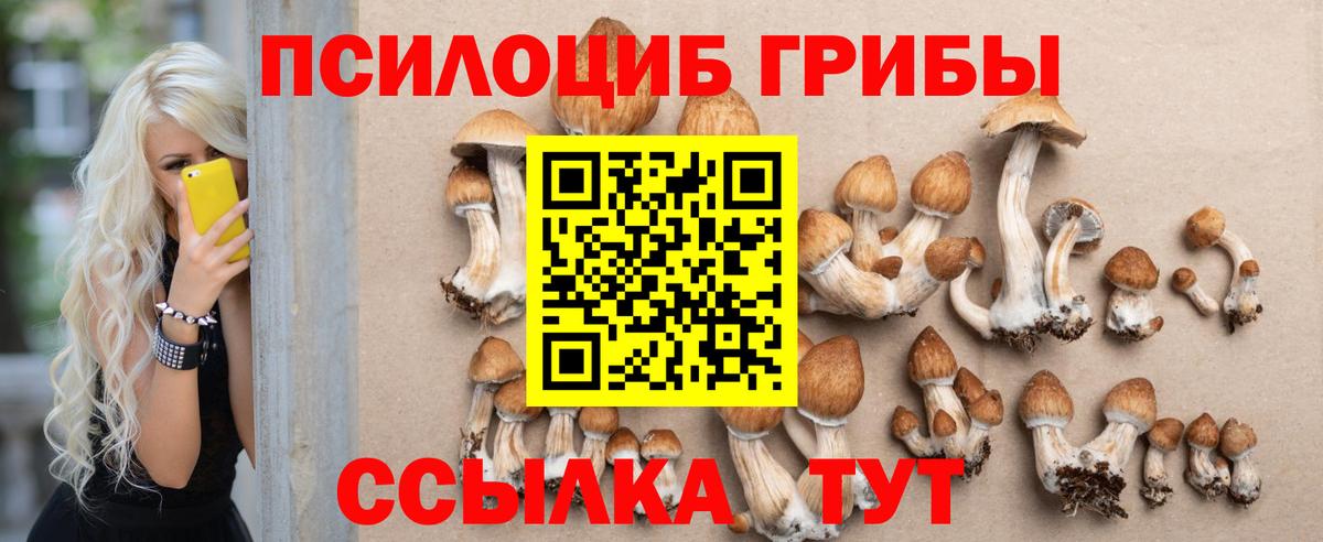Малоярославец  Псилоцибиновые грибы Psilocybe  Вход с VPN 